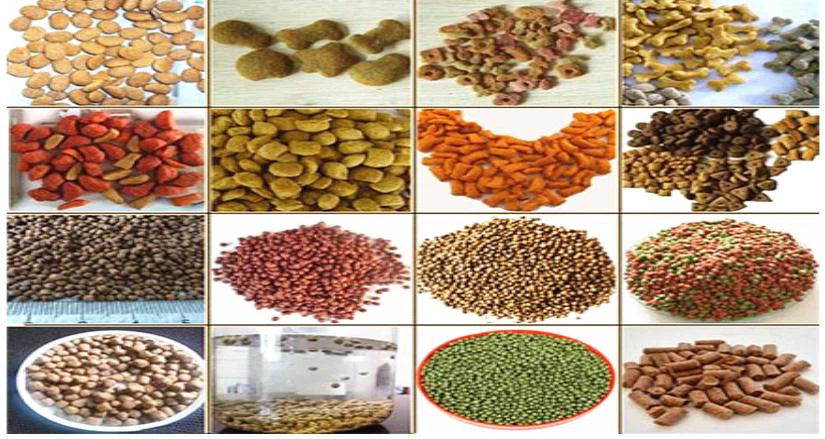 pet food samples pet food samples