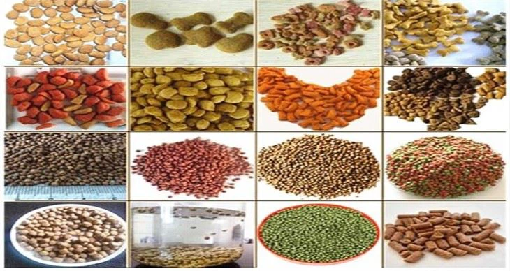 Pet Food Manufacturing Equipment
